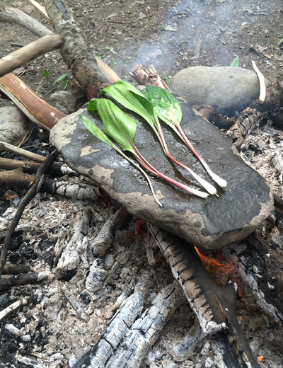 Cooking Ramps | Women in the Woods Days | Flying Deer Nature Center