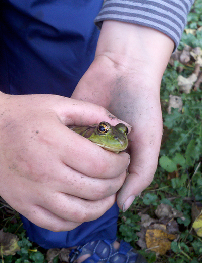 Child Holding Frog | Flying Deer Nature Center