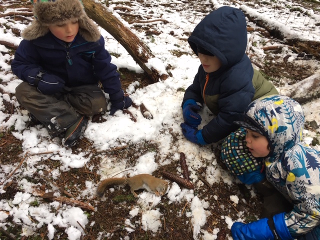 Flying Deer Nature Center Forest Kindergarten | Children Playing in Snow