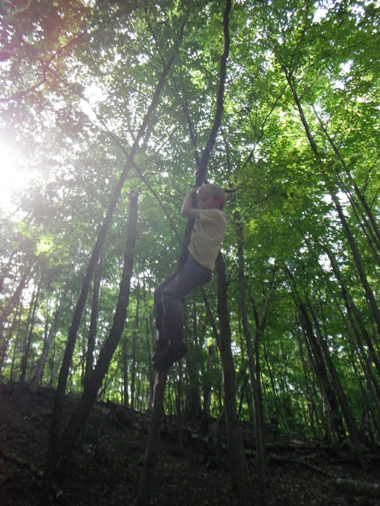 Flying Deer Nature Center Homeschool | Boy Climbing Tree