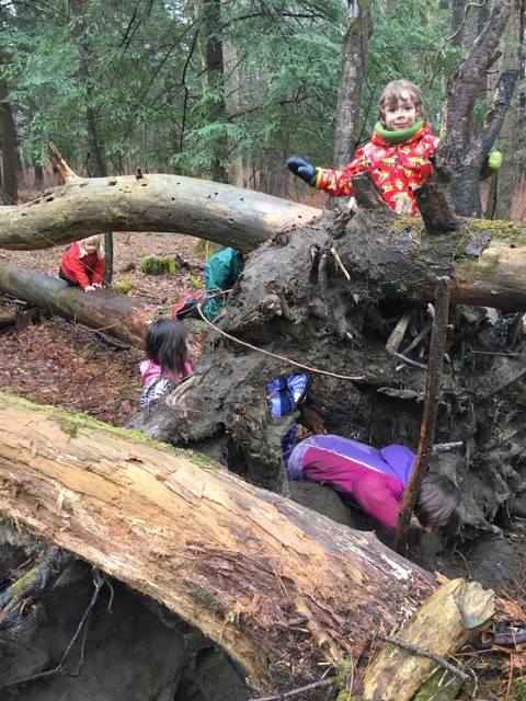 Flying Deer Nature Center | Children Playing on Tree Trunk