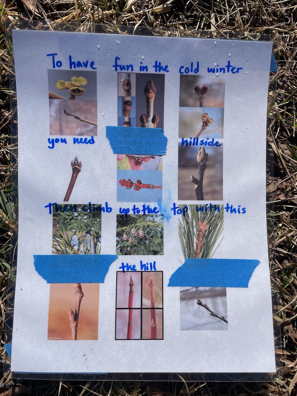 Riddles and Sledding Hills - Flying Deer Nature Center